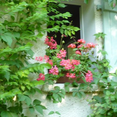 L'Oree Du Bois Luzech ภายนอก รูปภาพ